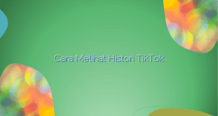 Cara Melihat Histori TikTok