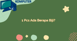 1 pcs ada berapa biji?