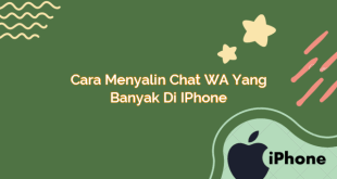 Cara Menyalin Chat WA yang Banyak di iPhone