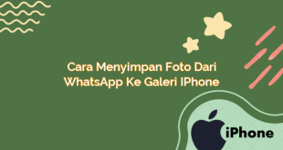 Cara Menyimpan Foto dari WhatsApp ke Galeri iPhone