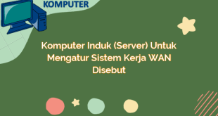 Komputer Induk (Server) untuk Mengatur Sistem Kerja WAN Disebut