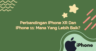 Perbandingan iPhone XR dan iPhone 11: Mana yang Lebih Baik?