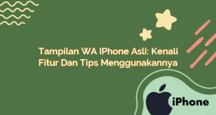 Tampilan WA iPhone Asli: Kenali Fitur dan Tips Menggunakannya